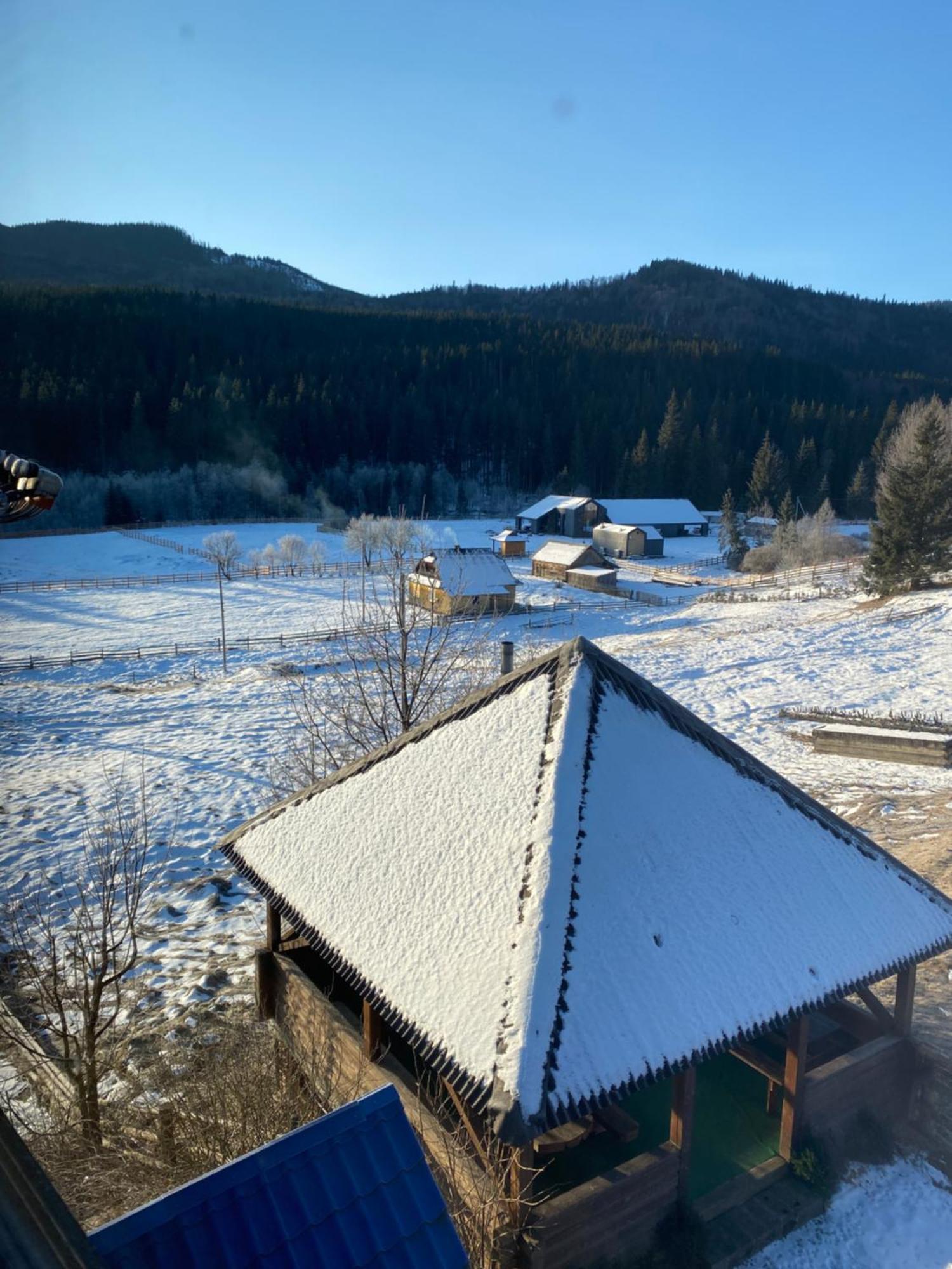 Під Явором Apartamento Vorokhta Exterior foto